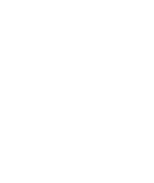 Silicone Based